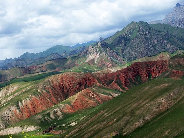 �������Y