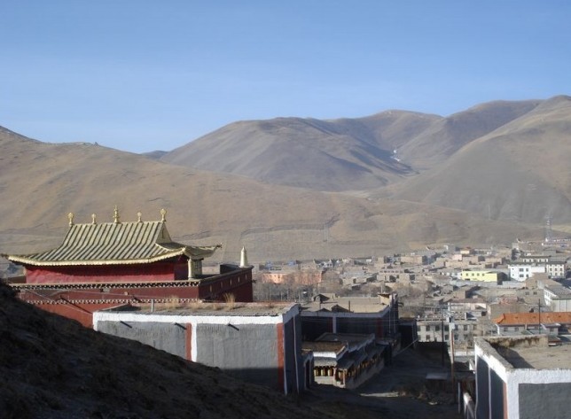 �������Y