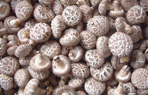 �������Y