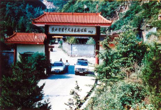 �������Y