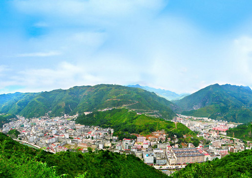 �������Y