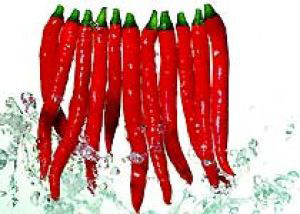 �������Y