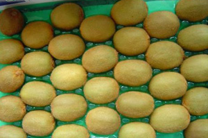 �������Y