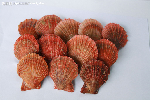 �������Y