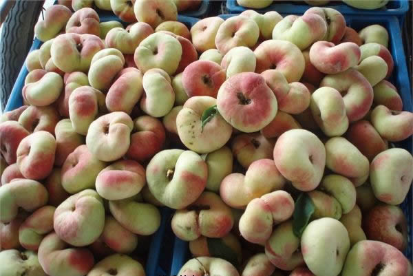 �������Y