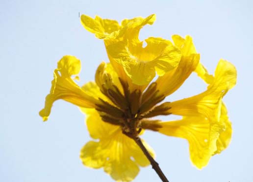 �������Y