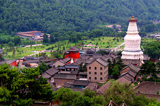 �������Y