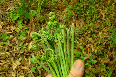 �������Y