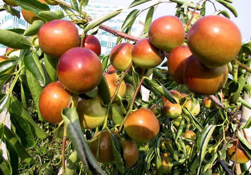 �������Y