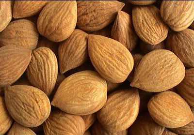 �������Y