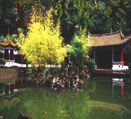 �������Y