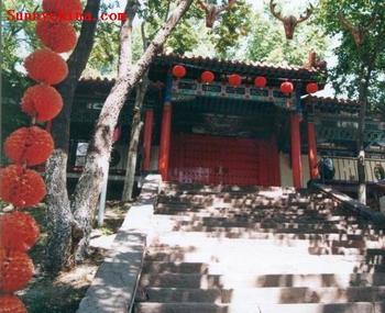 �������Y