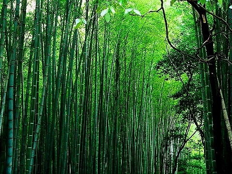 �������Y