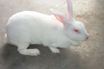 �������Y