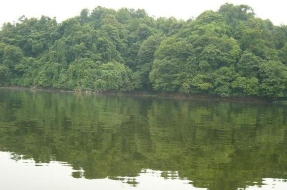 �������Y