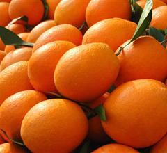 �������Y