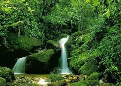 �������Y