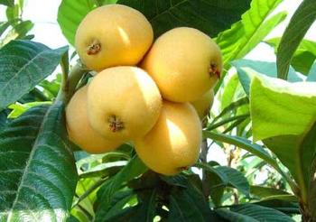 �������Y