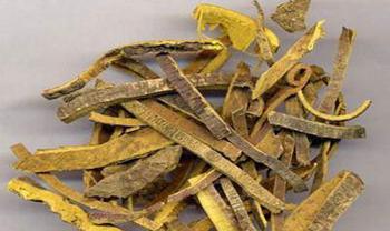 �������Y