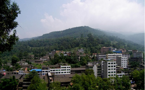 �������Y