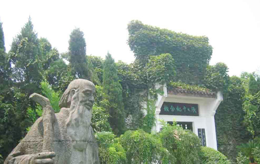 �������Y