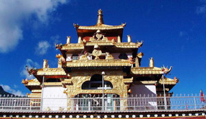 �������Y