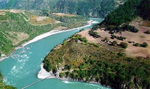 �������Y