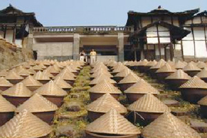 �������Y