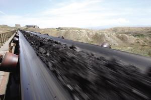 �������Y