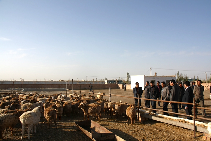 �������Y