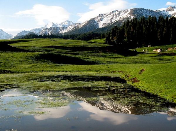 �������Y