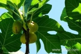 �������Y