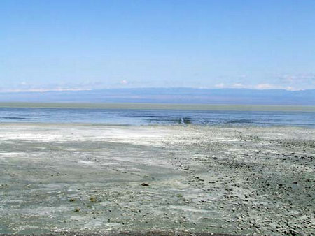 �������Y