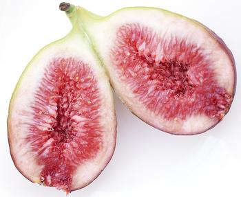 �������Y