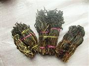 �������Y