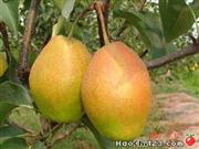 �������Y