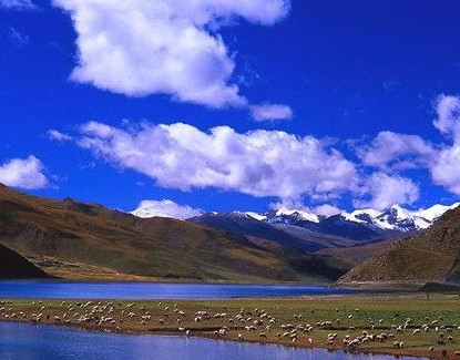 �������Y