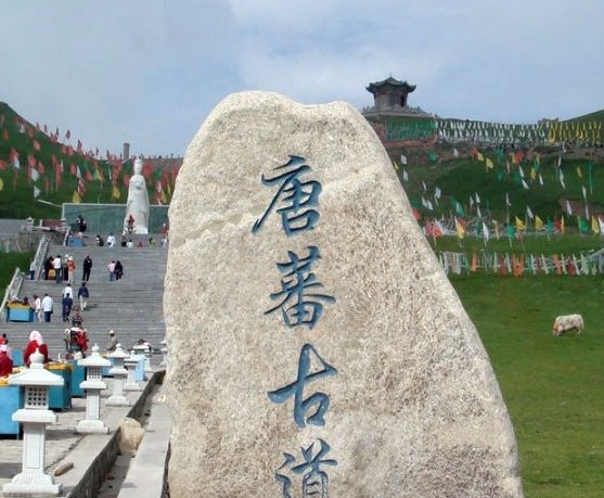 �������Y