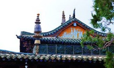 �������Y