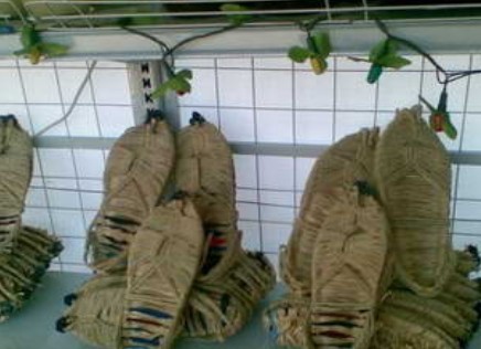 �������Y