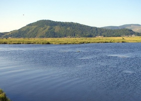 �������Y