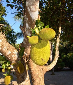 �������Y