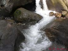 �������Y