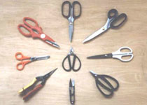 �������Y