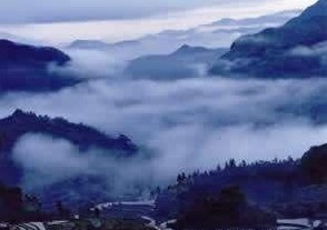 �������Y