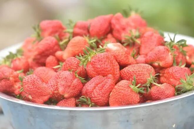 �������Y